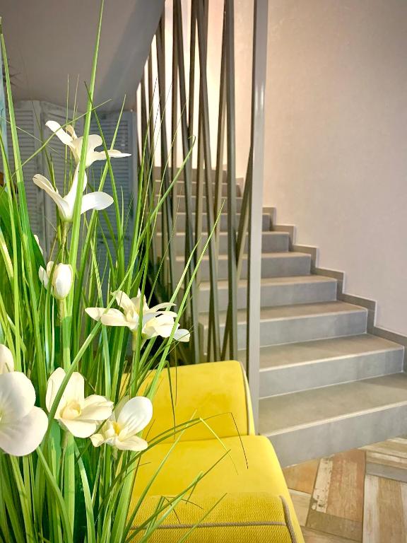 Фото Жданова апарт