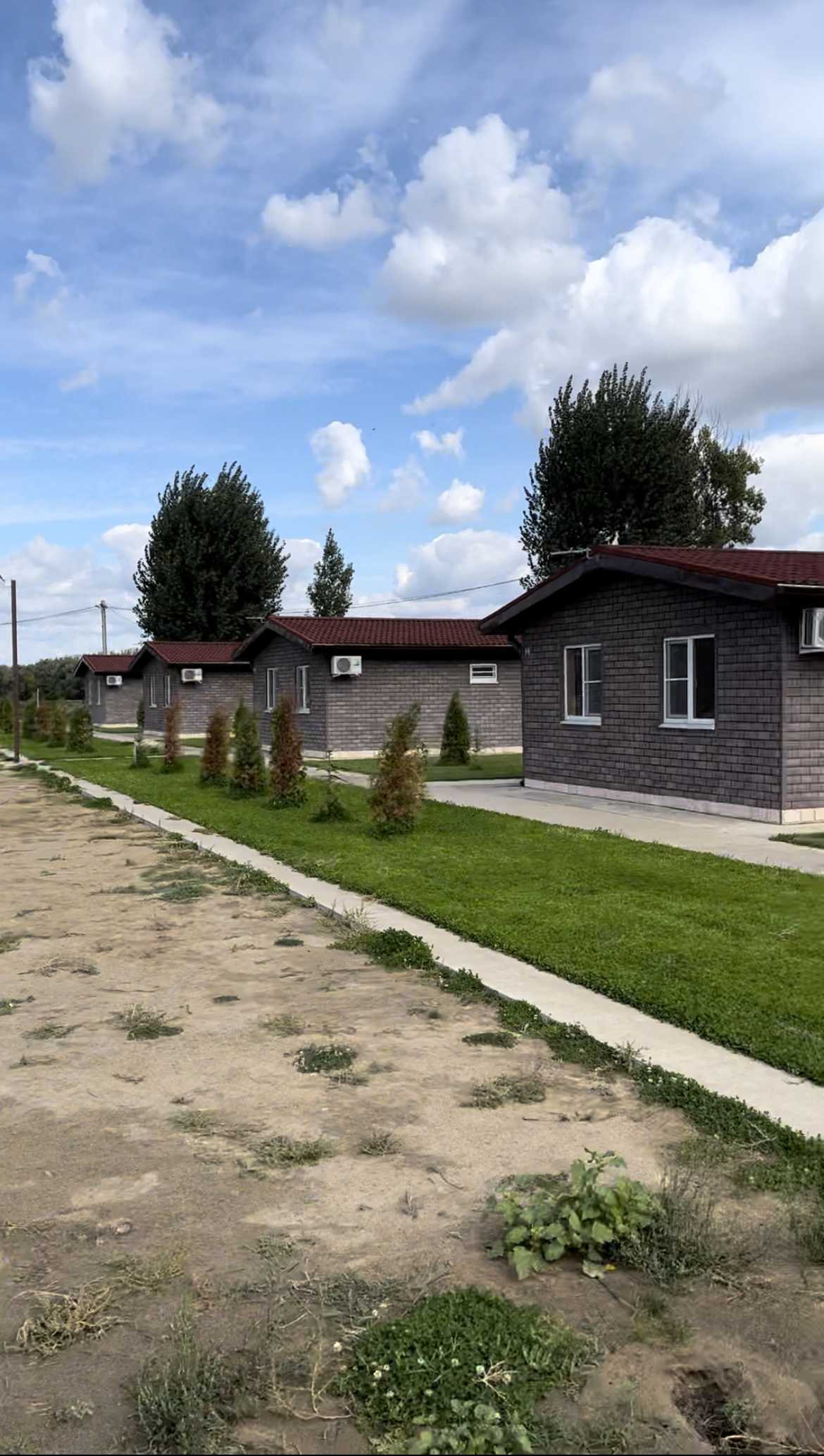 Фото Лазурная