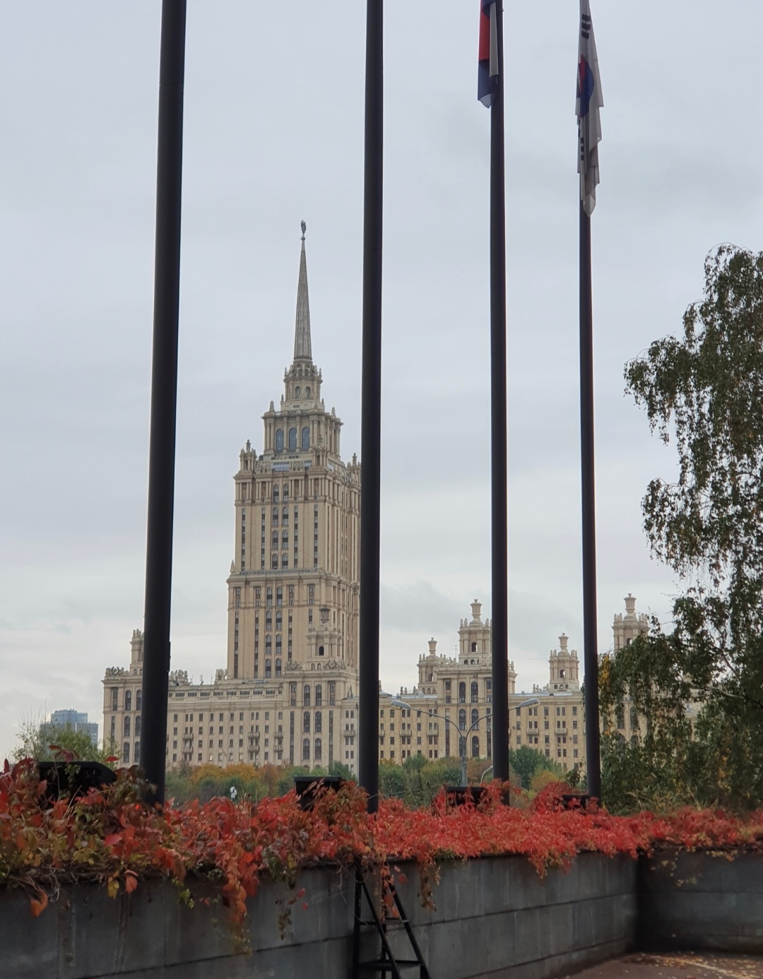 Фото Международная