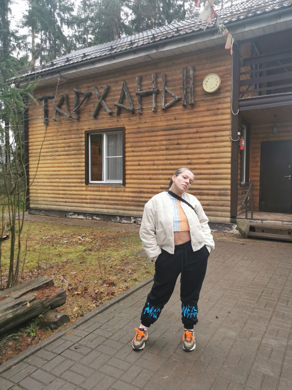 Фото Вырицкие Тарханы