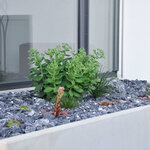 Zemp Gartenbau (Rothrist, Chaletweg, 49), landscape design