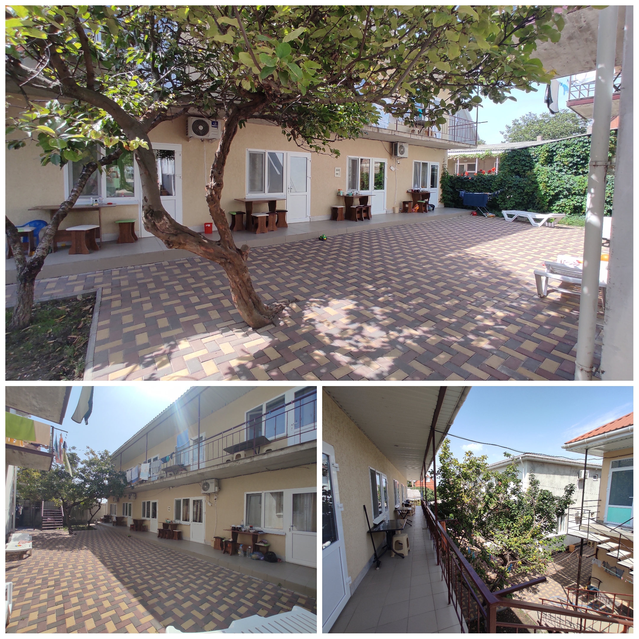 Фото У Алексея