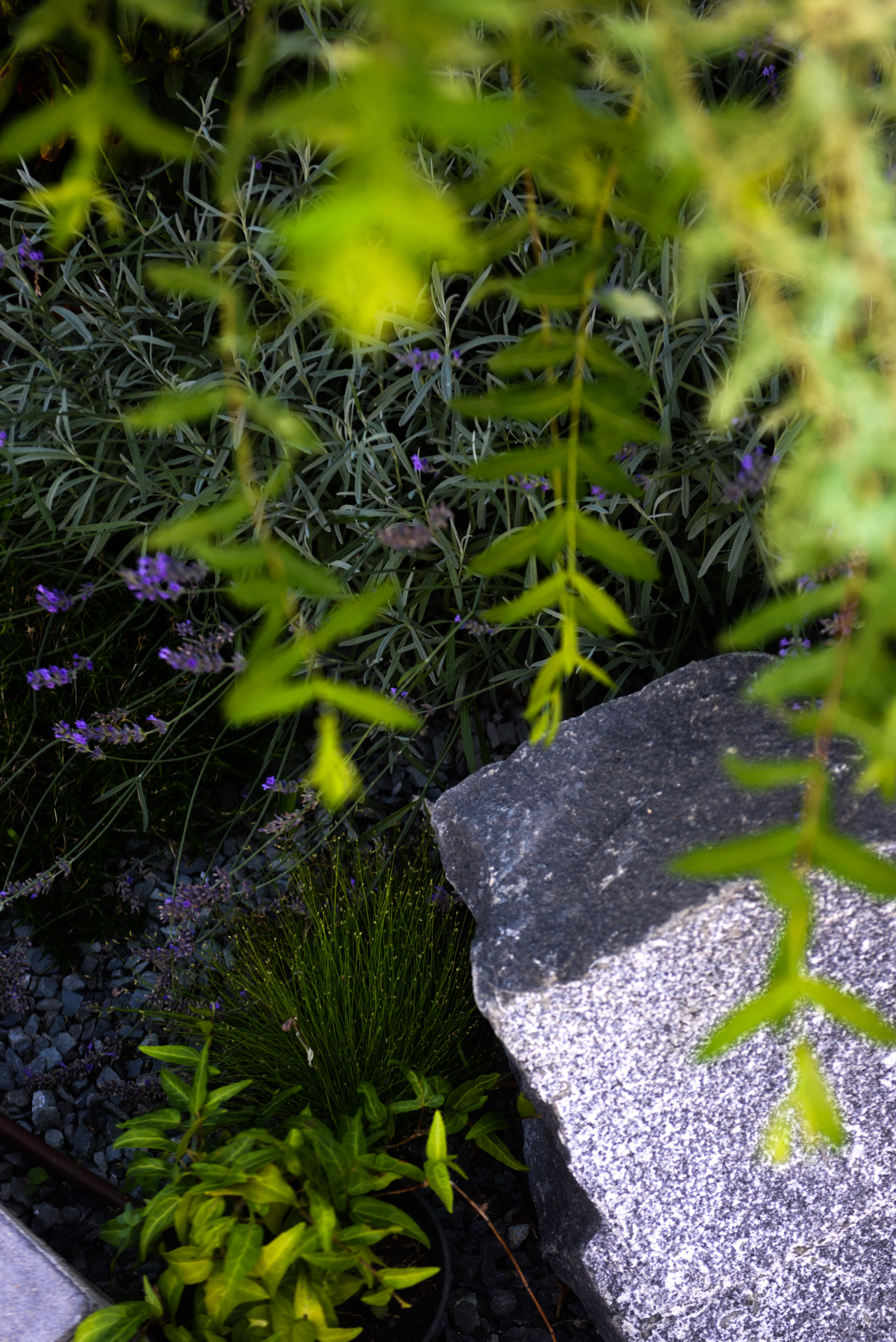 Фото Барнхаус