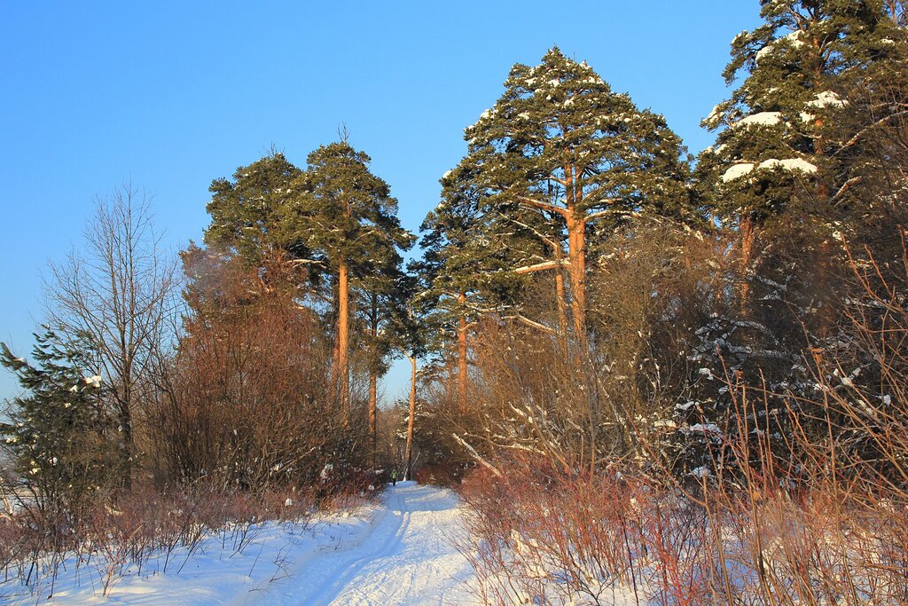 Заречный парк киров фото Panorama: Заречка, ski lodge, Kirov, Pervomayskiy district - Yandex Maps