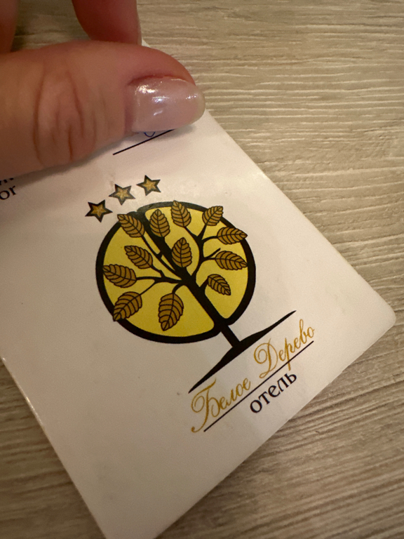 Фото Белое Дерево