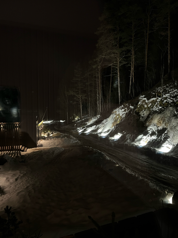 Фото Шелест