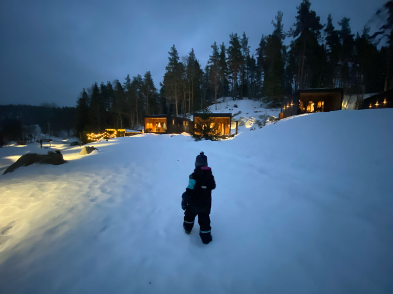 Фото Шелест