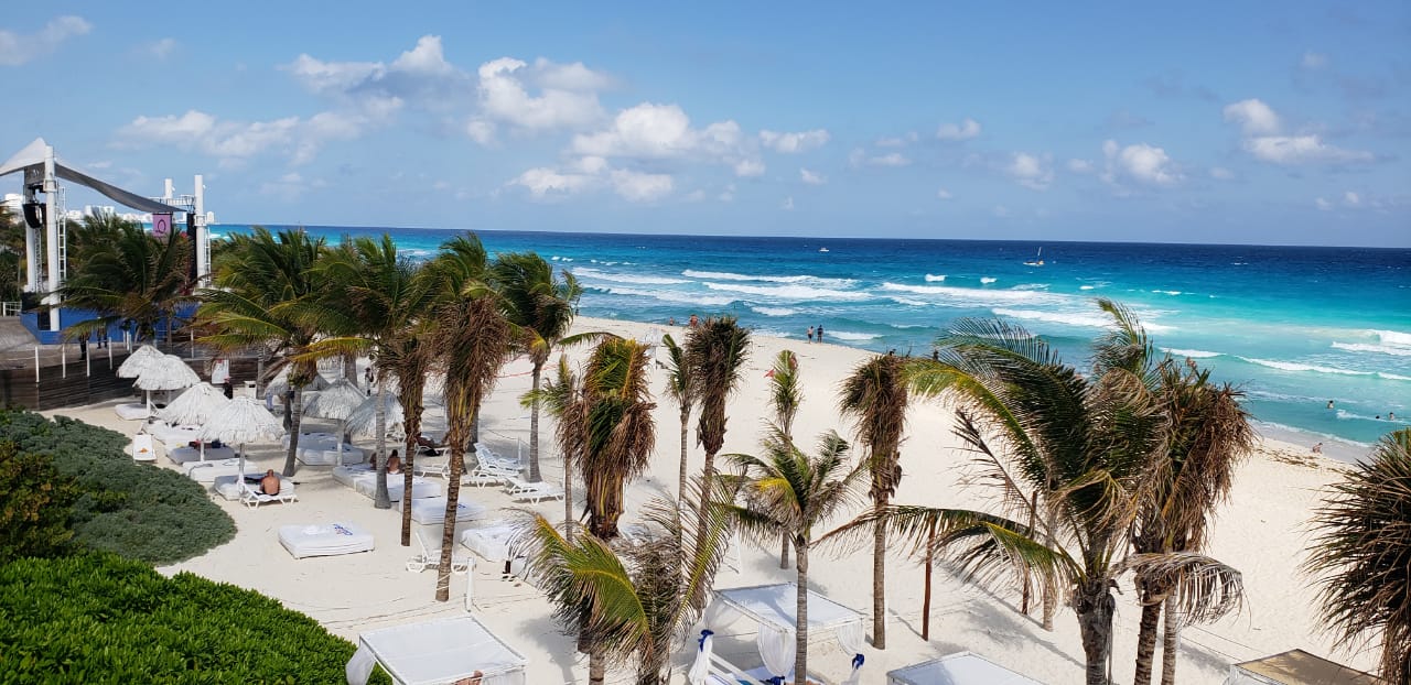 Фото Grand Oasis Palm