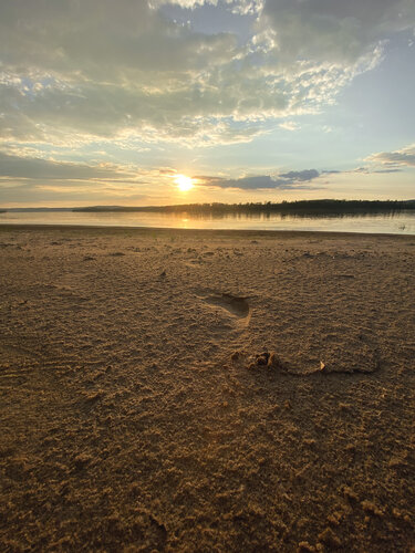 Дом отдыха Дриада в Саратовской области