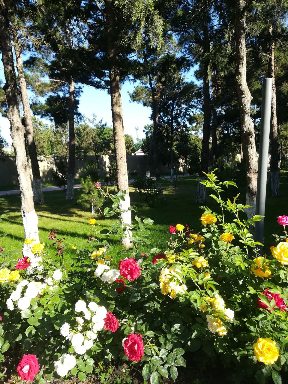 Фото Этнический дом Высота