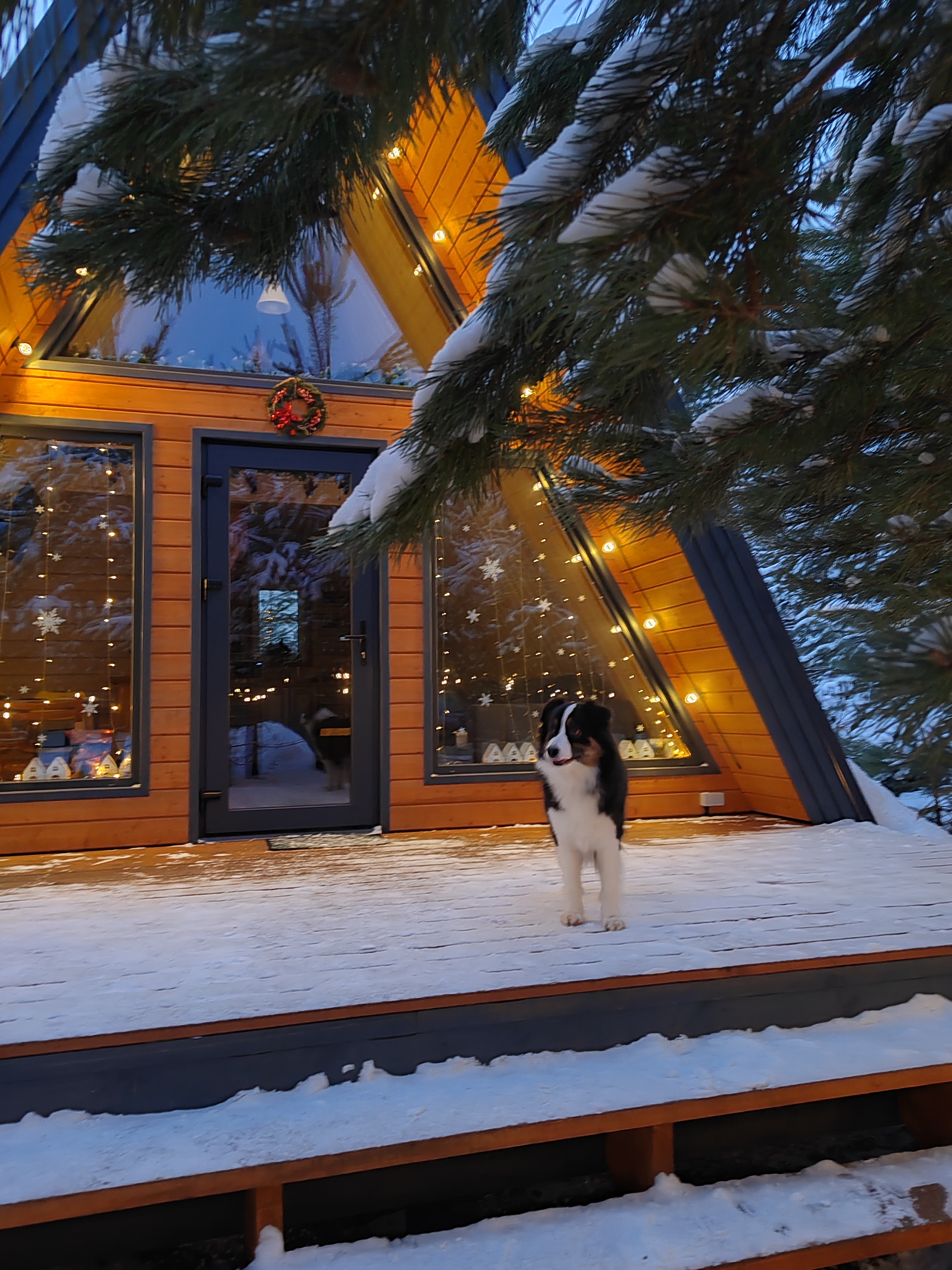 Фото Кусочек рая в соснах