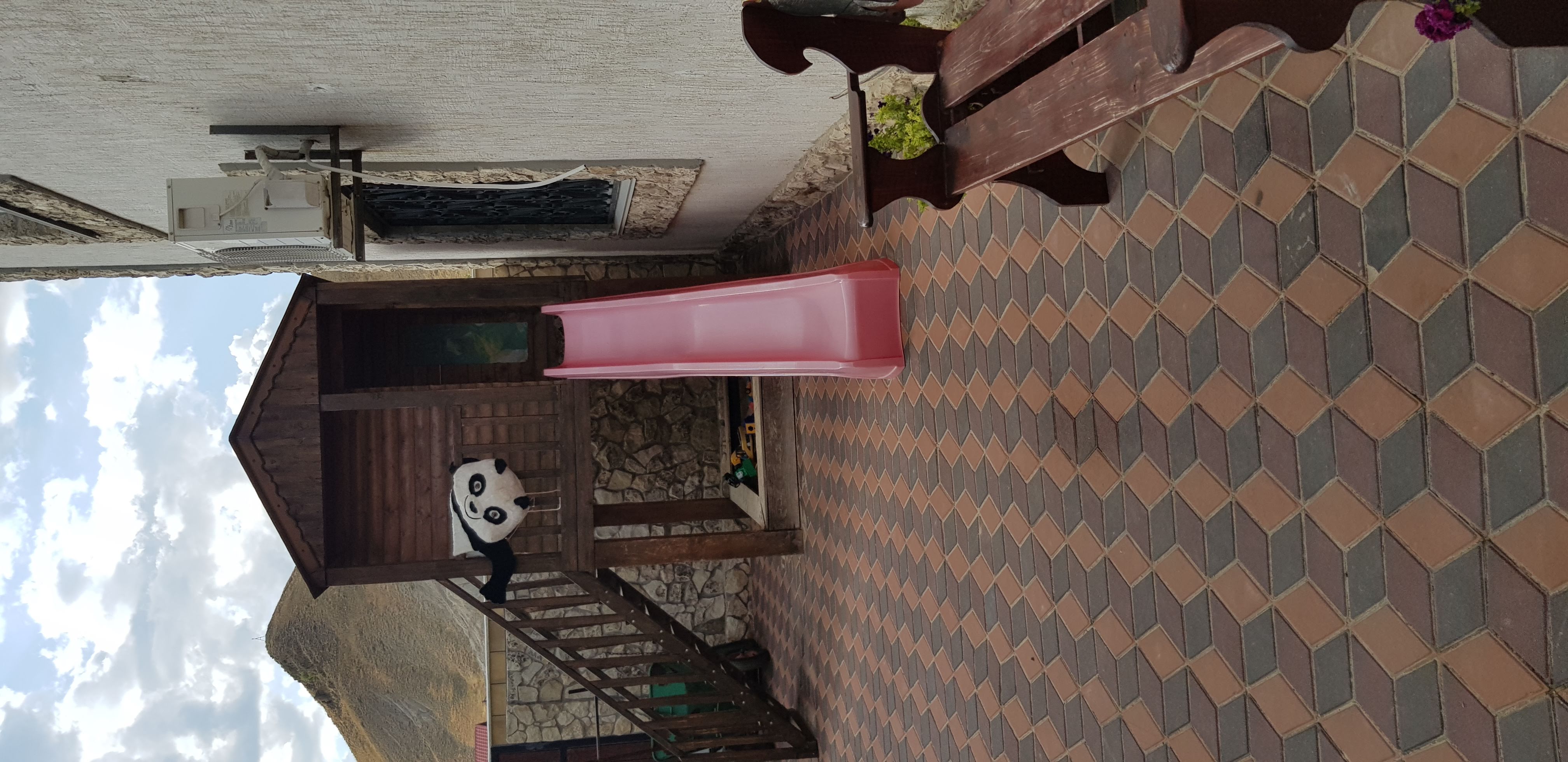 Фото Сапсан