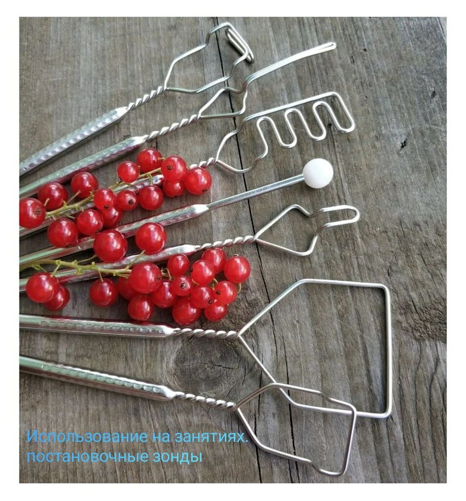 Speech therapists LogopedTula, Tula, photo