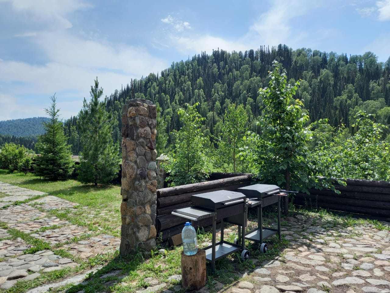 Фото Золотая сова