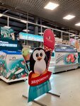 33 Pingvina (Obyezdnoe Highway, 25), helado