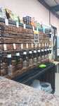 Beershop (Tikhostupa Street, 10), cervecería