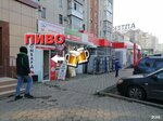 Alpen beer (mikrorayon Zavod Izmeritelnykh Priborov, Zipovskaya Street, 14) ، حانة، بار
