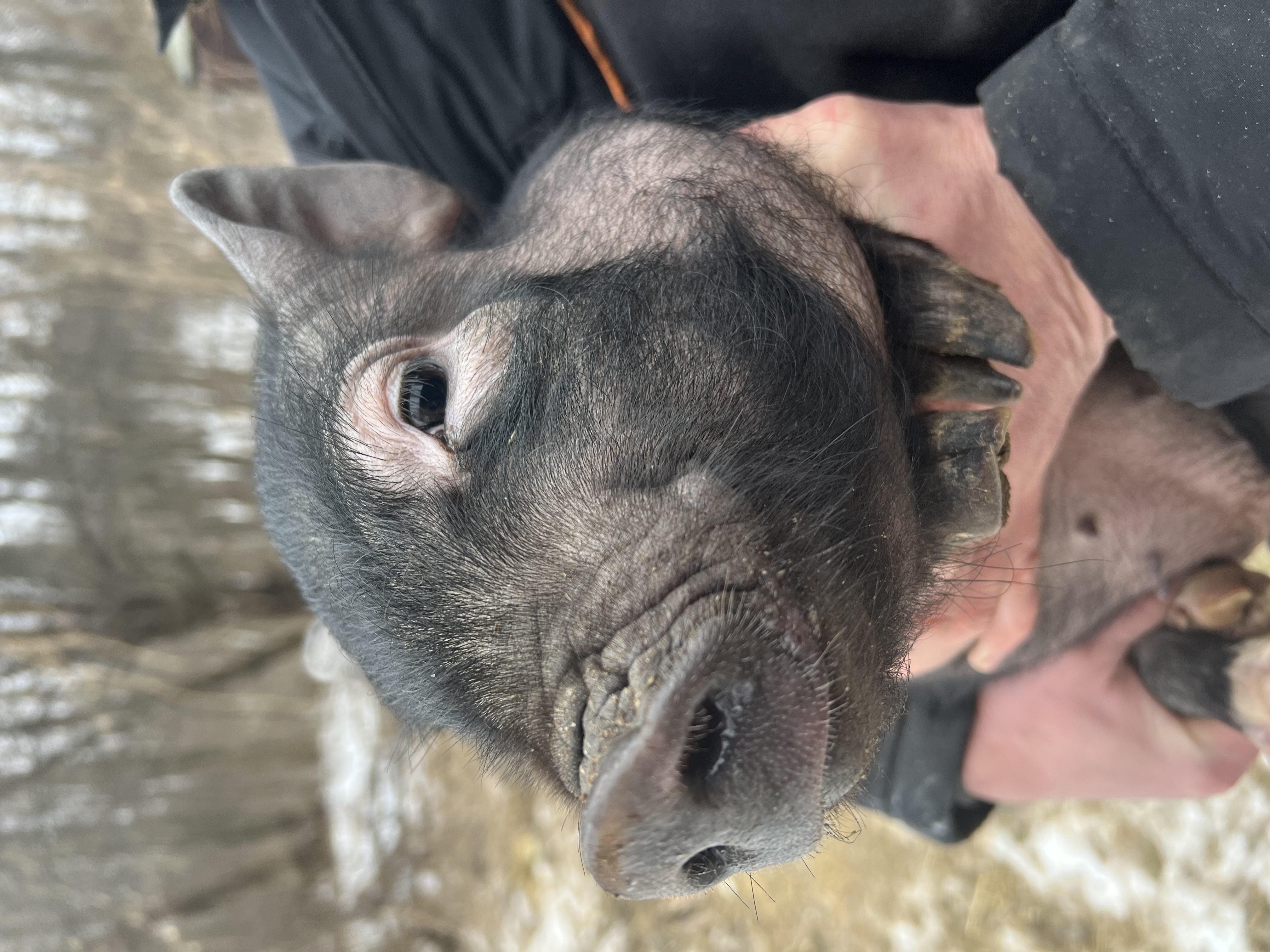 Фото Маруся