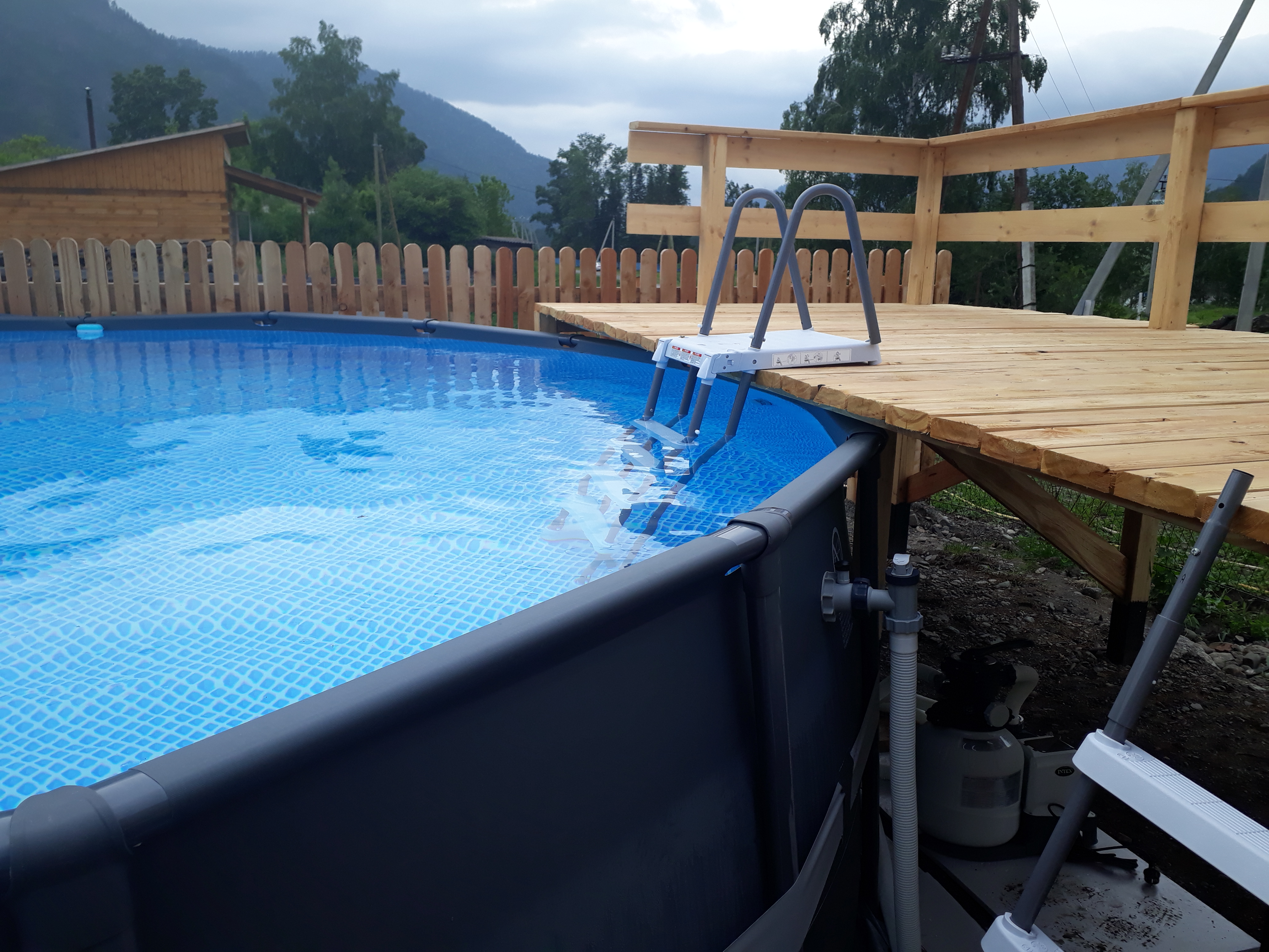 Фото Золотой медведь