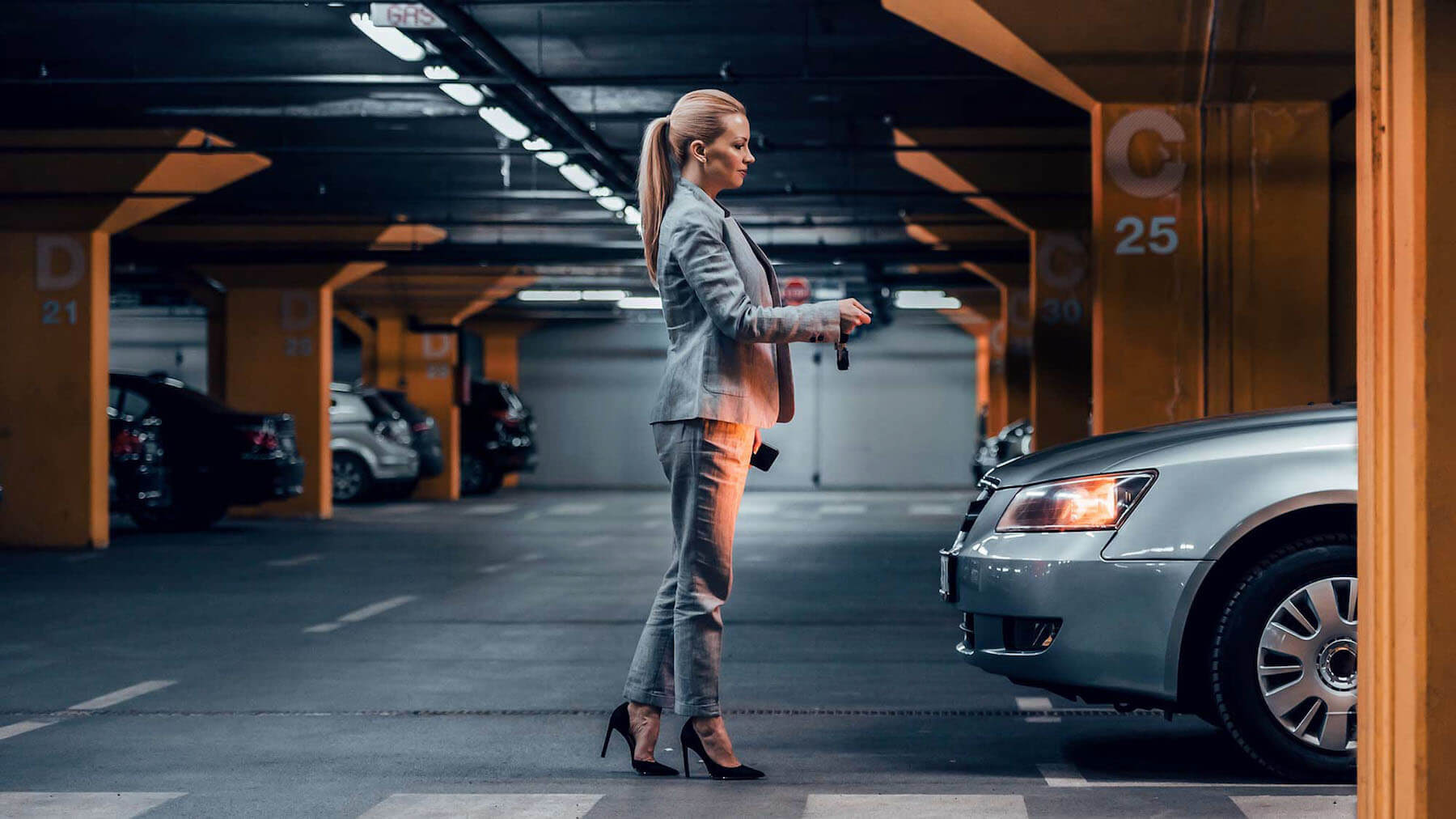 Фото Альпийская