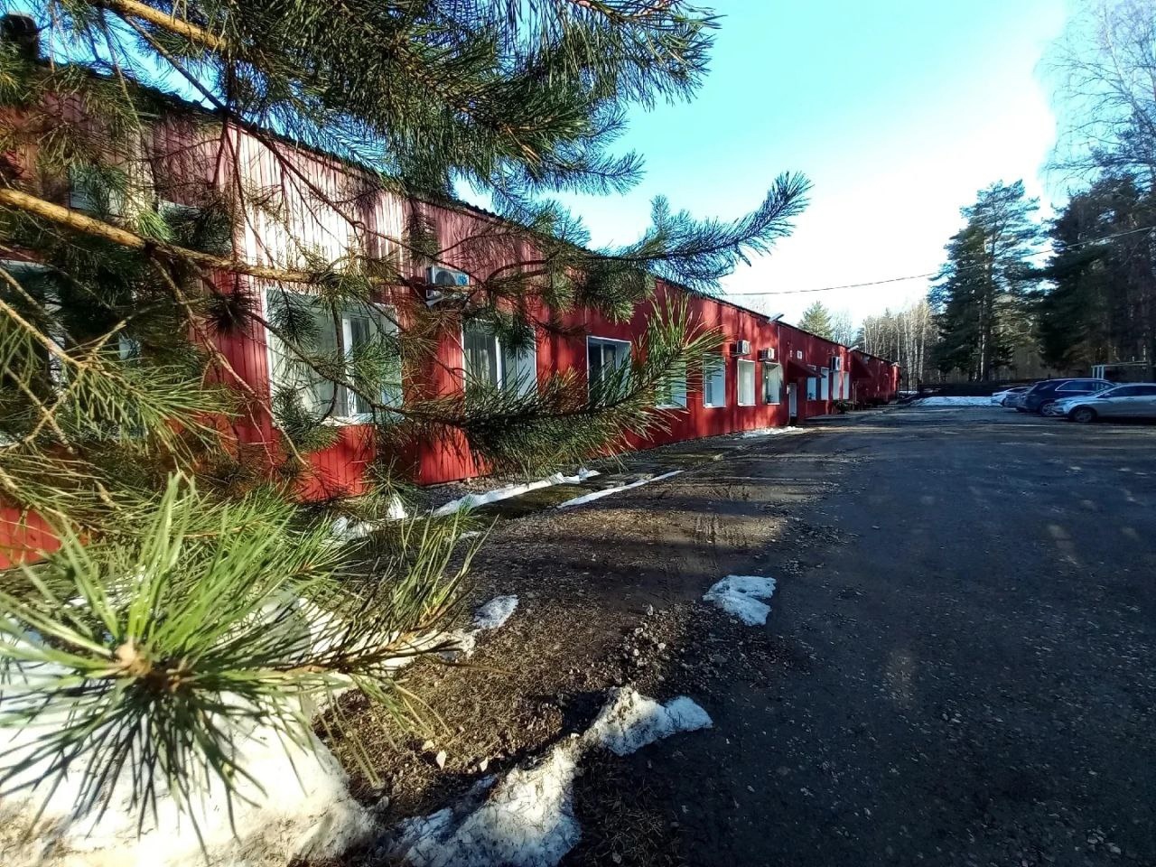 Фото Австерия