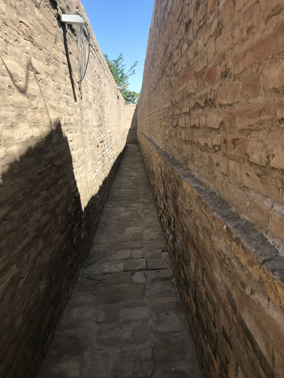 Фото Nabibek Terrace