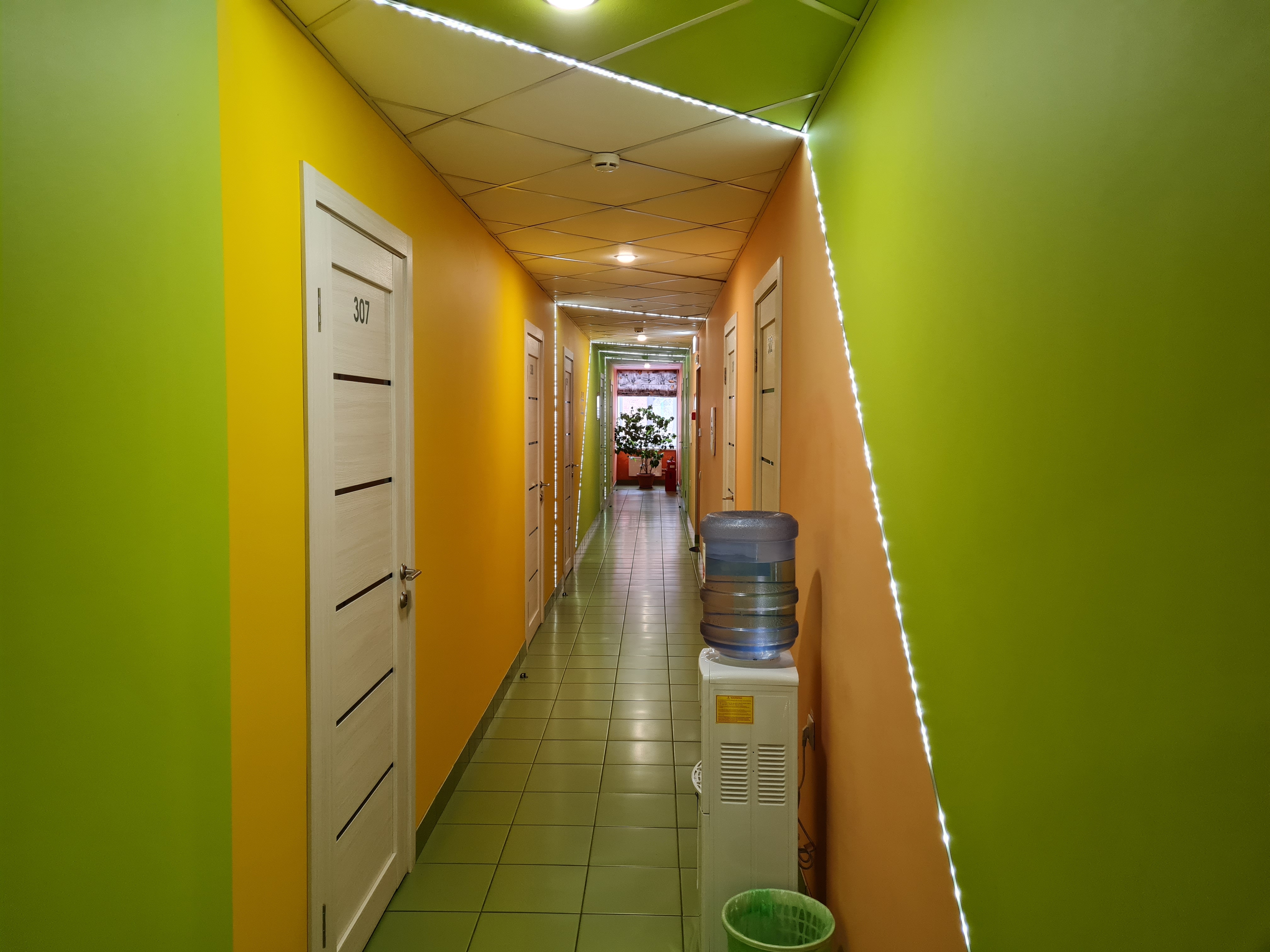 Фото Нарцисс