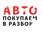Выкуп автомобилей в разбор (Marshala Tukhachevskogo Street, 55), exposición de coches