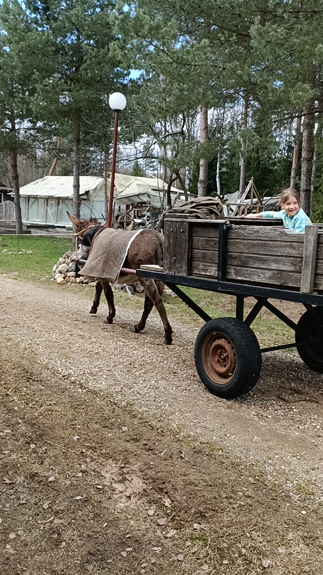 Фото Южный Паркъ
