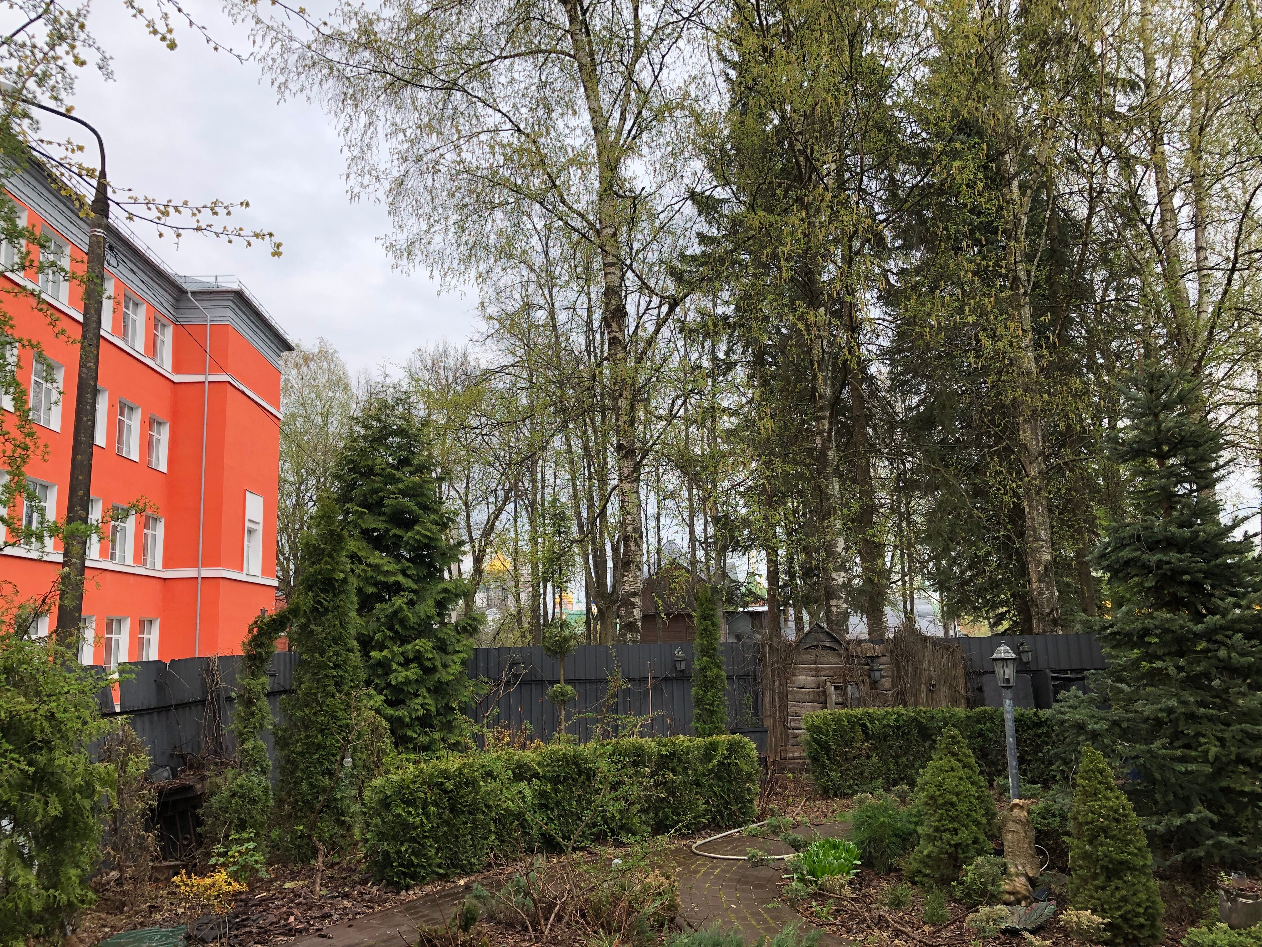 Фото Красная гора