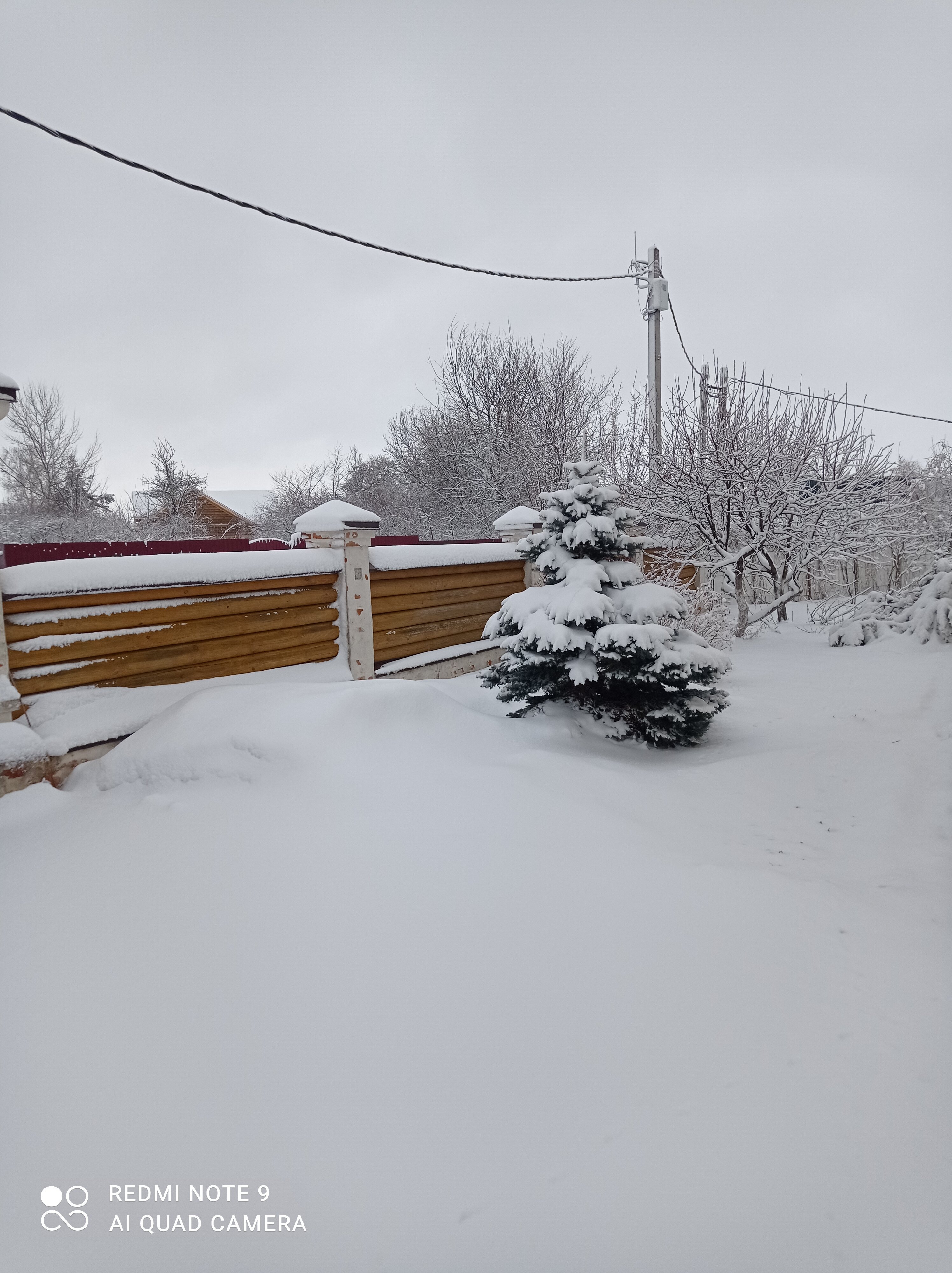 Фото Саттва