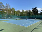 Tennis court (Севастополь, улица Ефремова, 7), tennis court