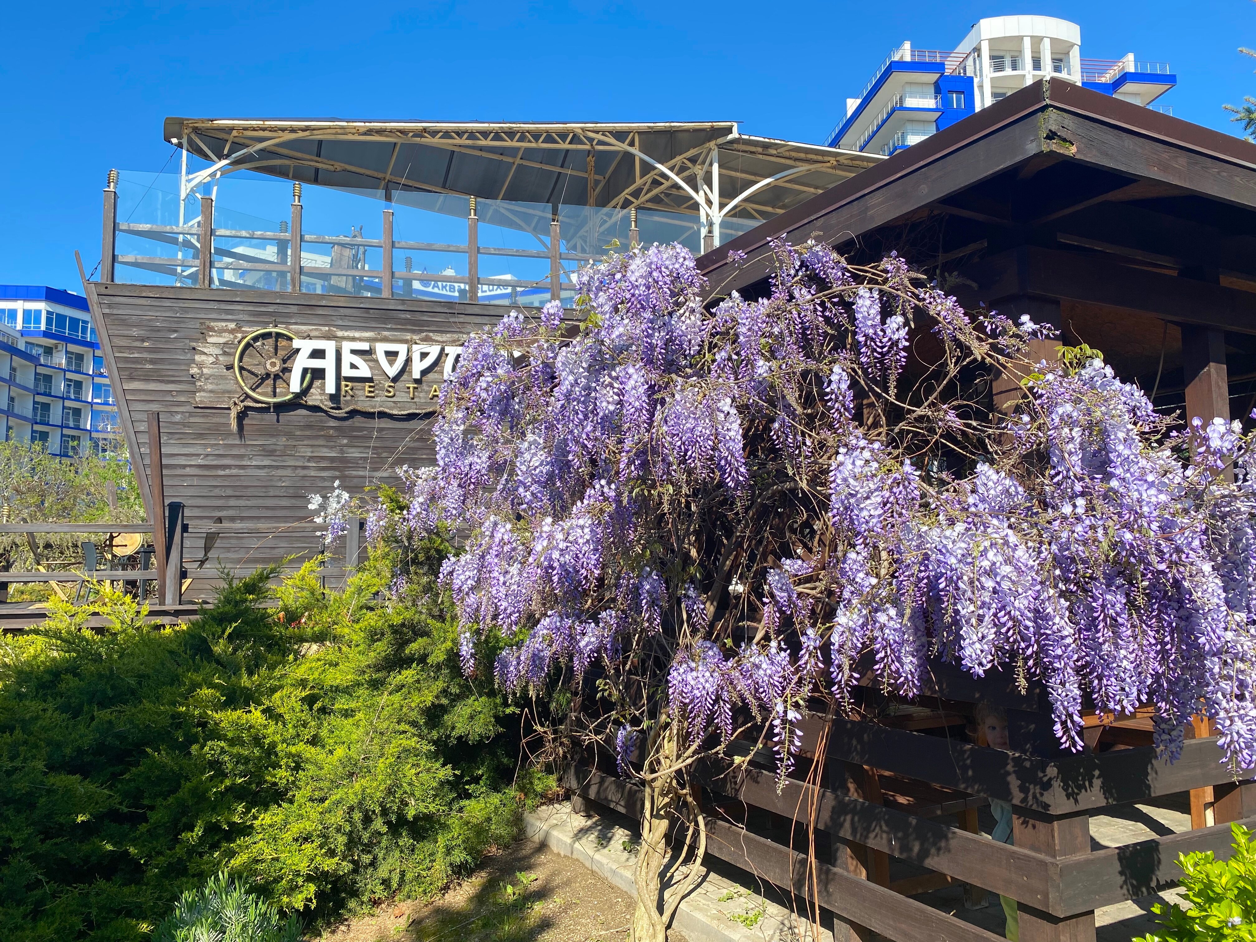 Фото Аквамарин Resort Apartments