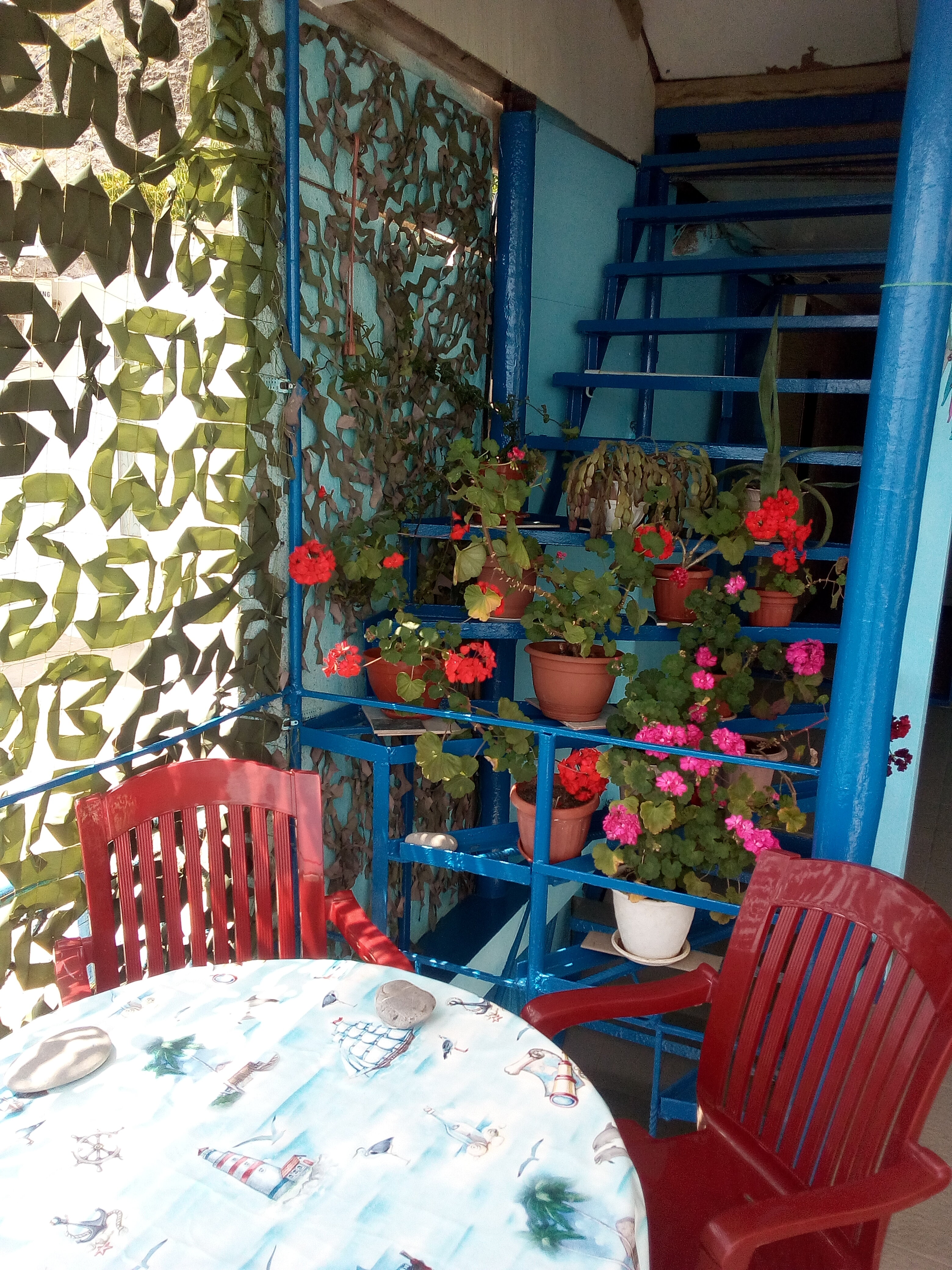 Фото Ноги в море