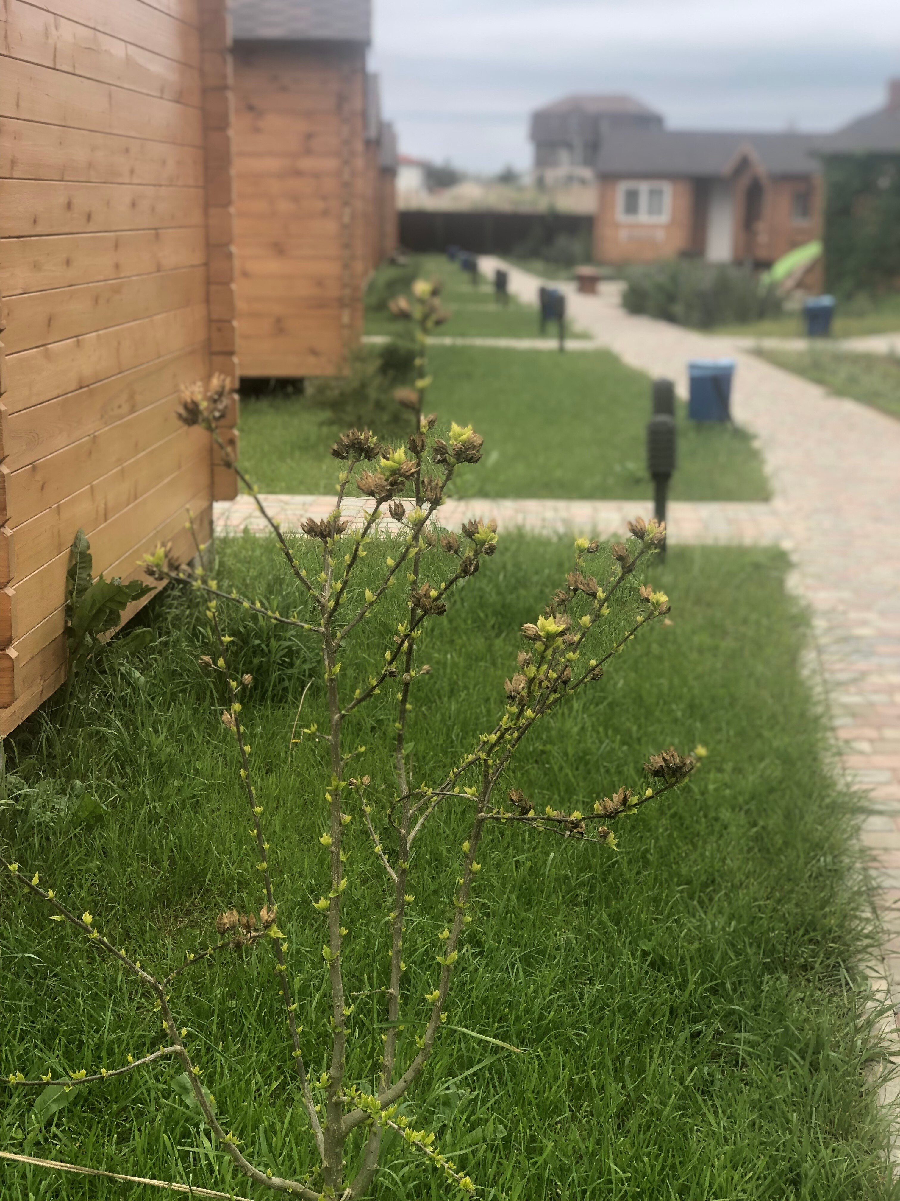 Фото Гостевой дворик