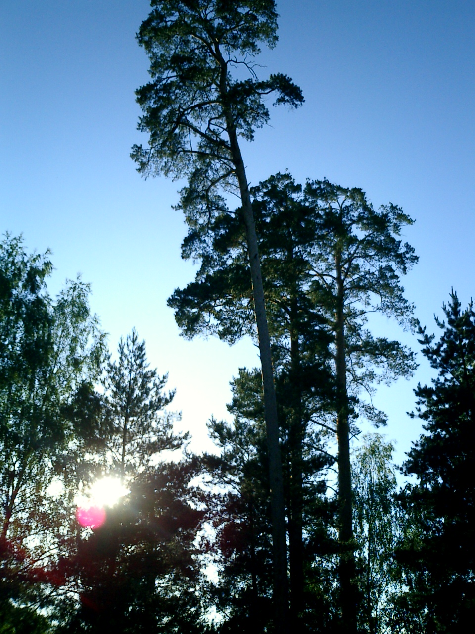 Фото Введенское