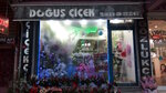 Dogus Cicekcilik (İstanbul, Zeytinburnu, Beştelsiz Mah., Semiha Şakir Cad., 79), flower shop