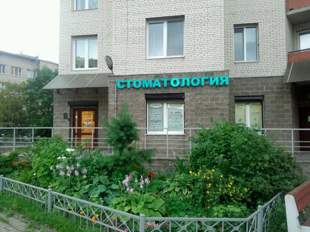 Александрия стоматологическая клиника новосибирск
