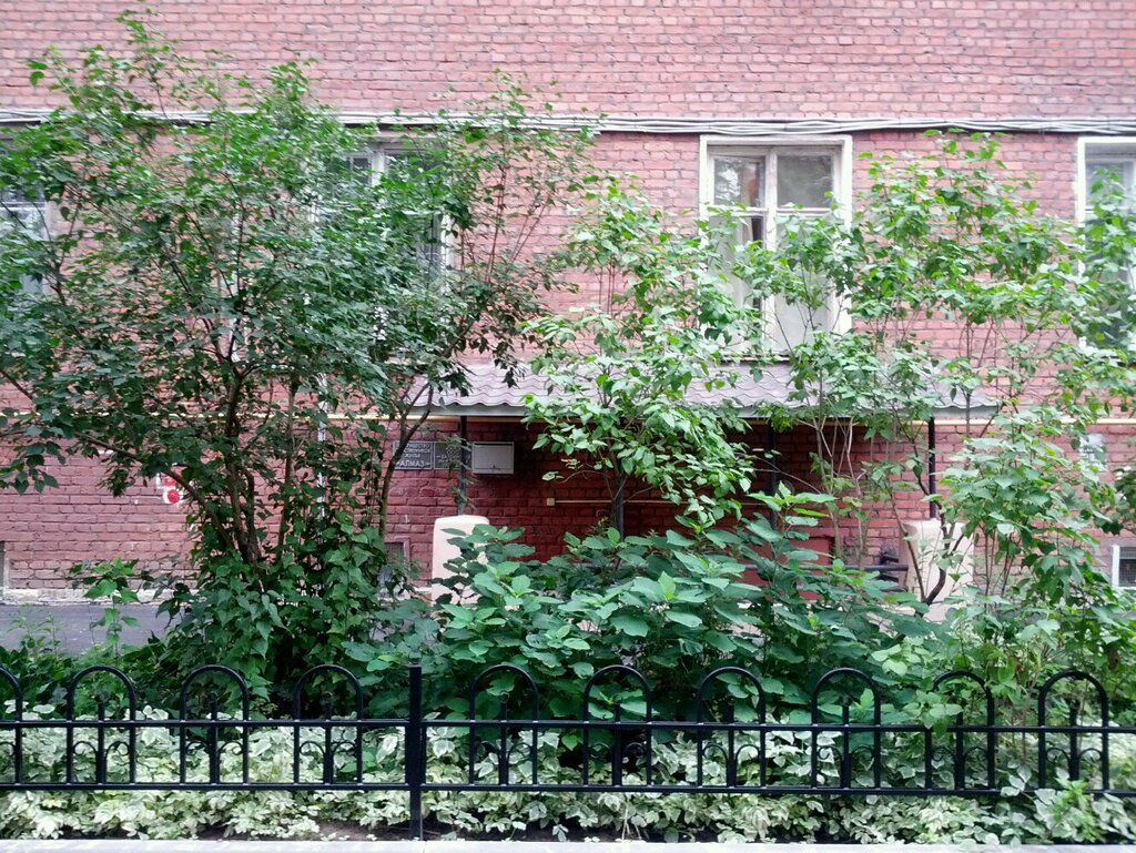 Homeowner association TSZh Almaz, Saint Petersburg, photo
