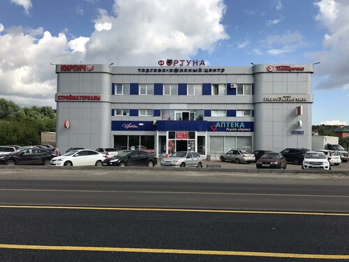 Авто фортуна казань