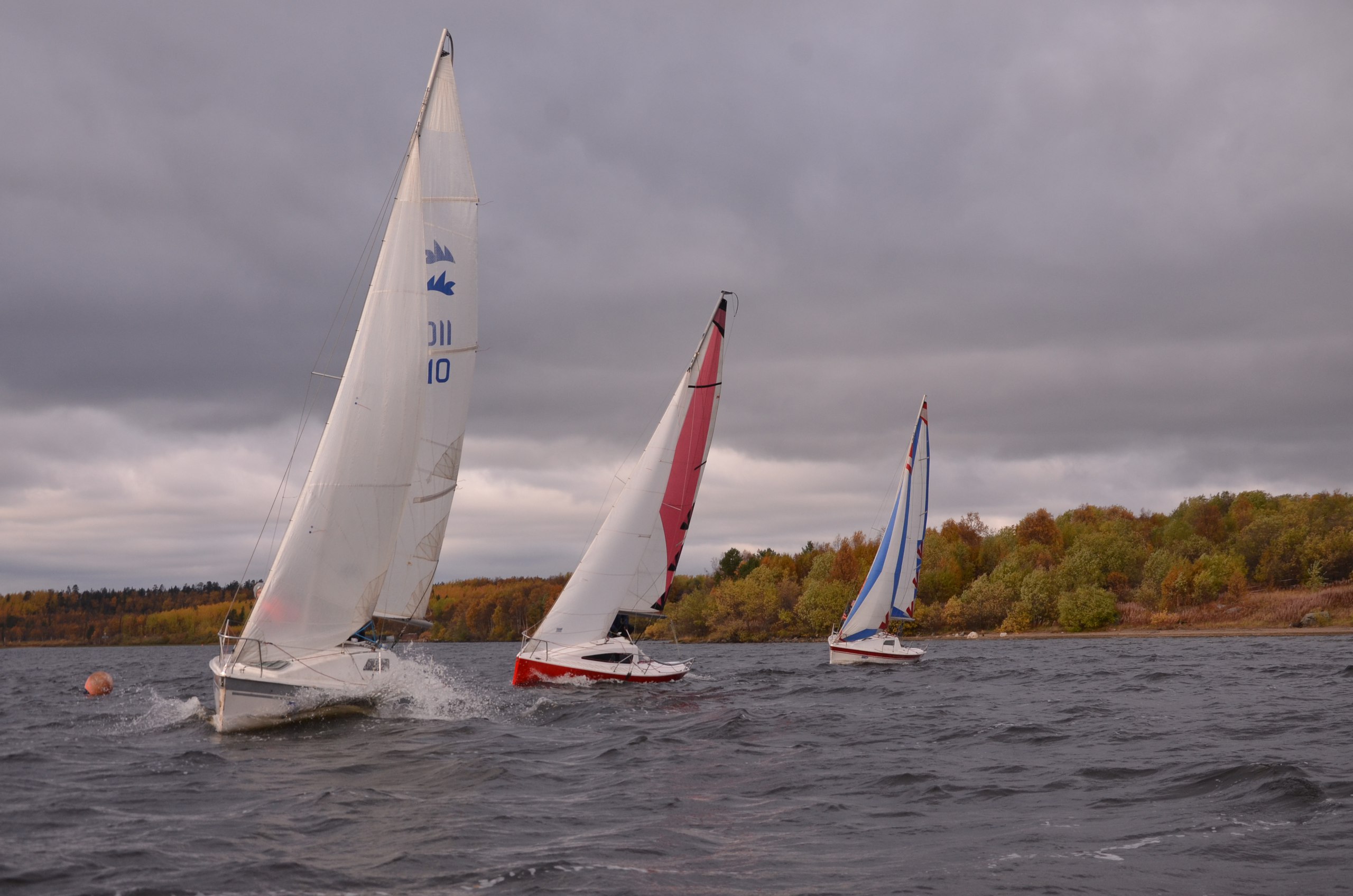 Фото Гольфстрим