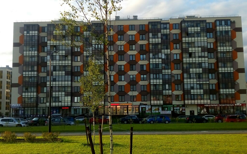 Кудрово Магазины 24