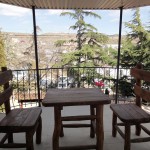 Фото Кипарис