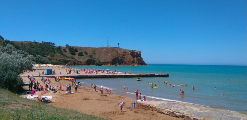 Фото Ласточка