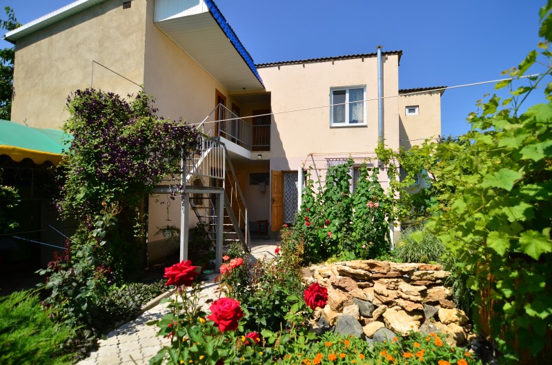 Фото Ласточка