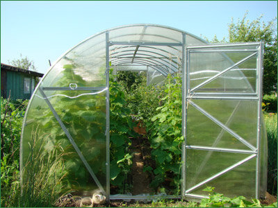 Greenhouse equipment NashaTeplica, Moscow and Moscow Oblast, photo