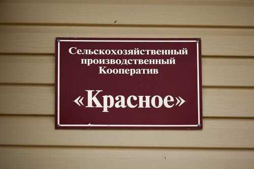 Производственный кооператив примеры организаций в россии
