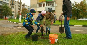 Коммунальная служба ЖКО Юг, Электрогорск, фото