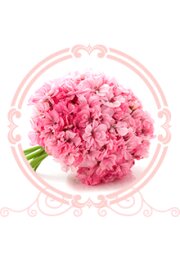 Flowers and bouquets delivery Rayskiy Sad, Naro‑Fominsk, photo