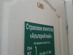 Фото 5 Альтернатива